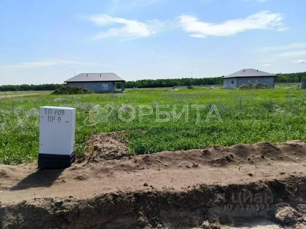 Участок в Тюменская область, Тюменский район, Новокаменский кп ул. ... - Фото 1