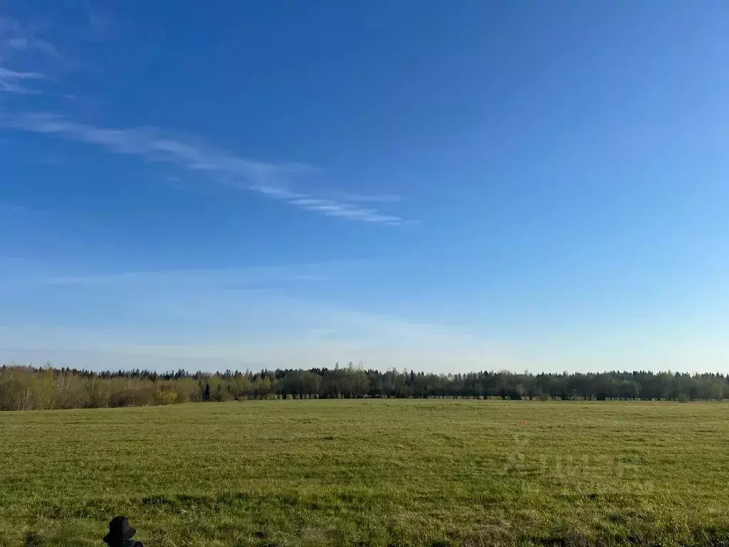 Дом в Ленинградская область, Всеволожский район, Рахьинское городское ... - Фото 1
