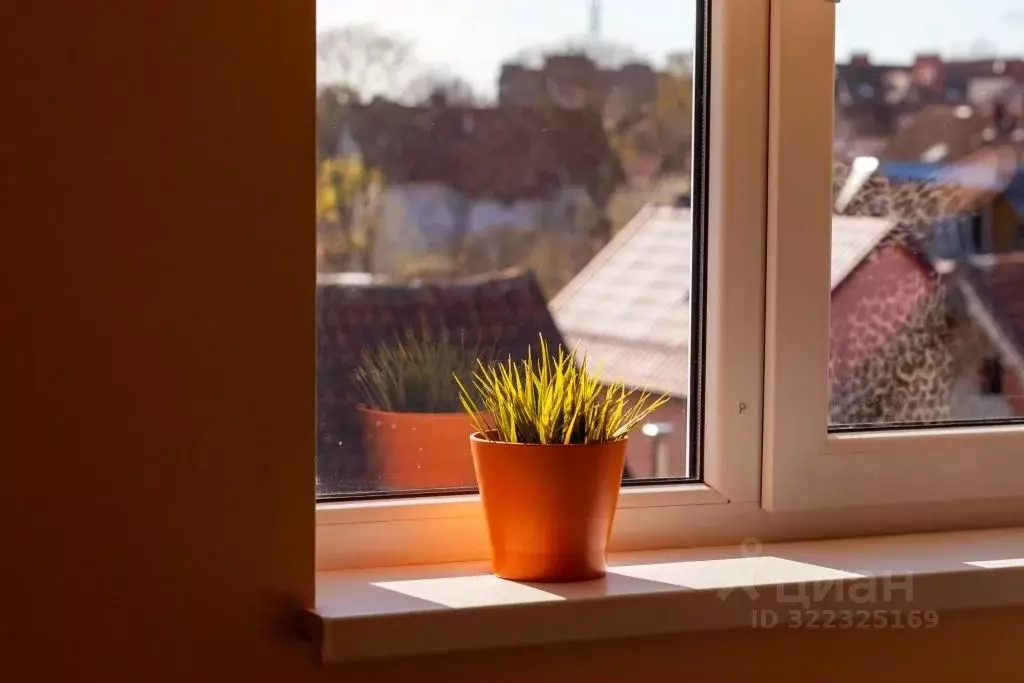 1-к кв. Калининградская область, Зеленоградск ул. Герцена, 8А (34.0 м) - Фото 2