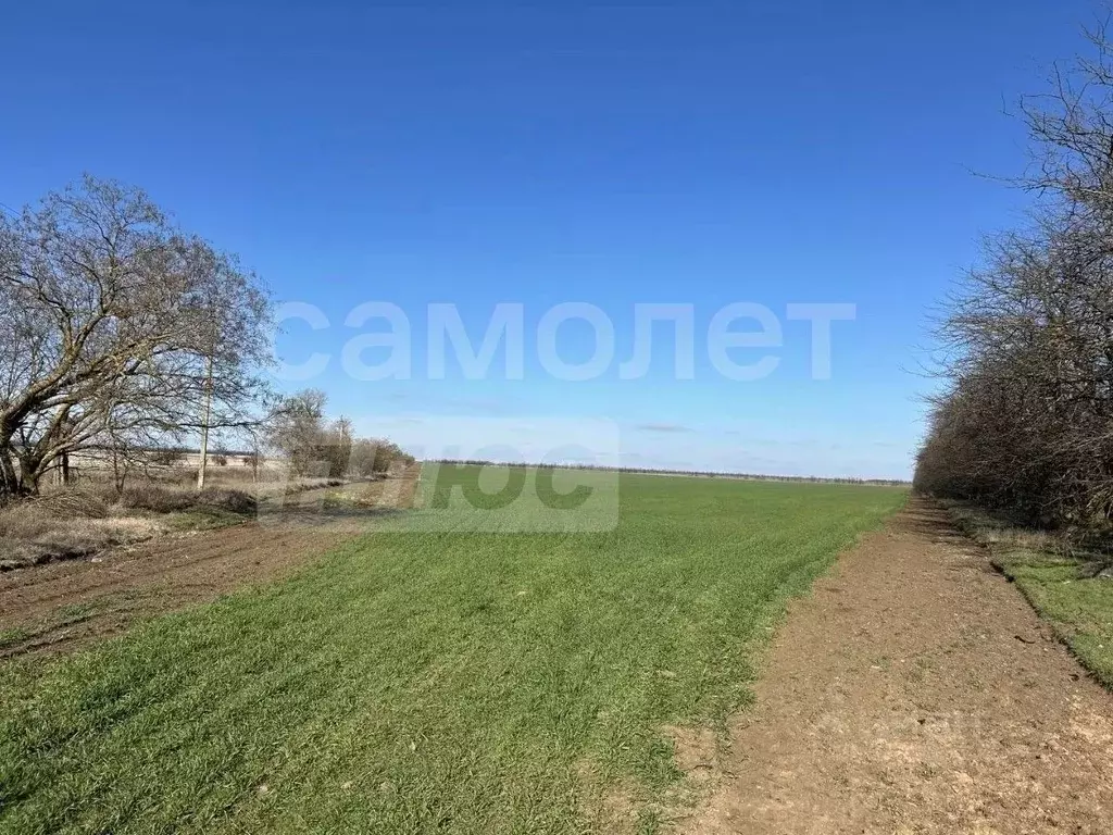 Участок в Крым, Сакский район, Ромашкинское с/пос, с. Колоски  (3.8 ... - Фото 2