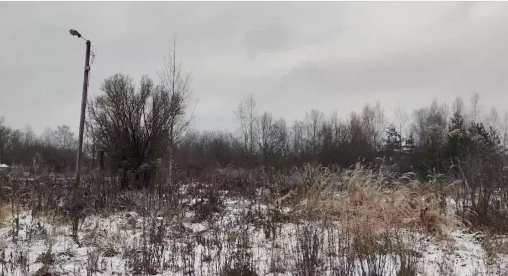 Участок в Московская область, Щелково городской округ, д. Орлово ул. ... - Фото 2