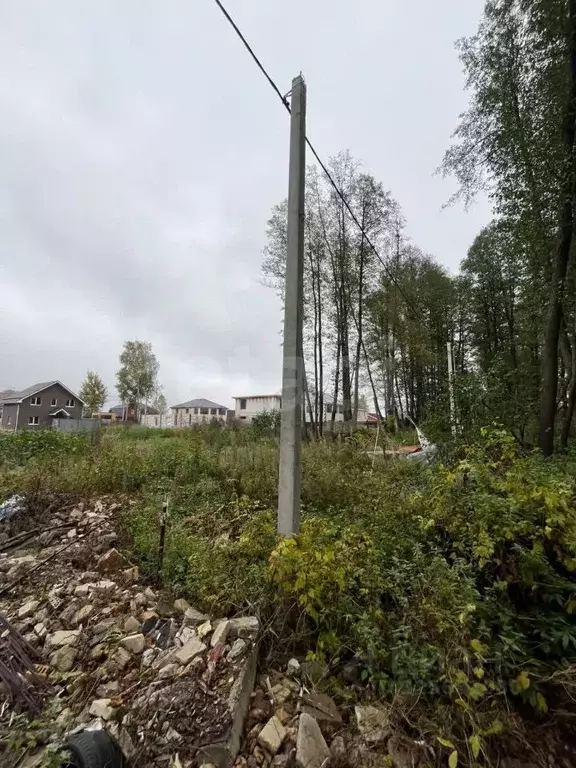 Участок в Московская область, Щелково городской округ, Екатерининская ... - Фото 2