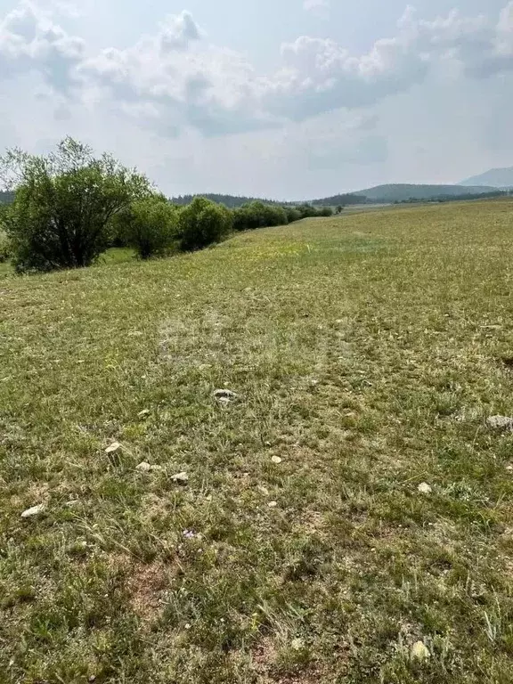 Участок в Иркутская область, Ольхонский район, Шара-Тоготское ... - Фото 2