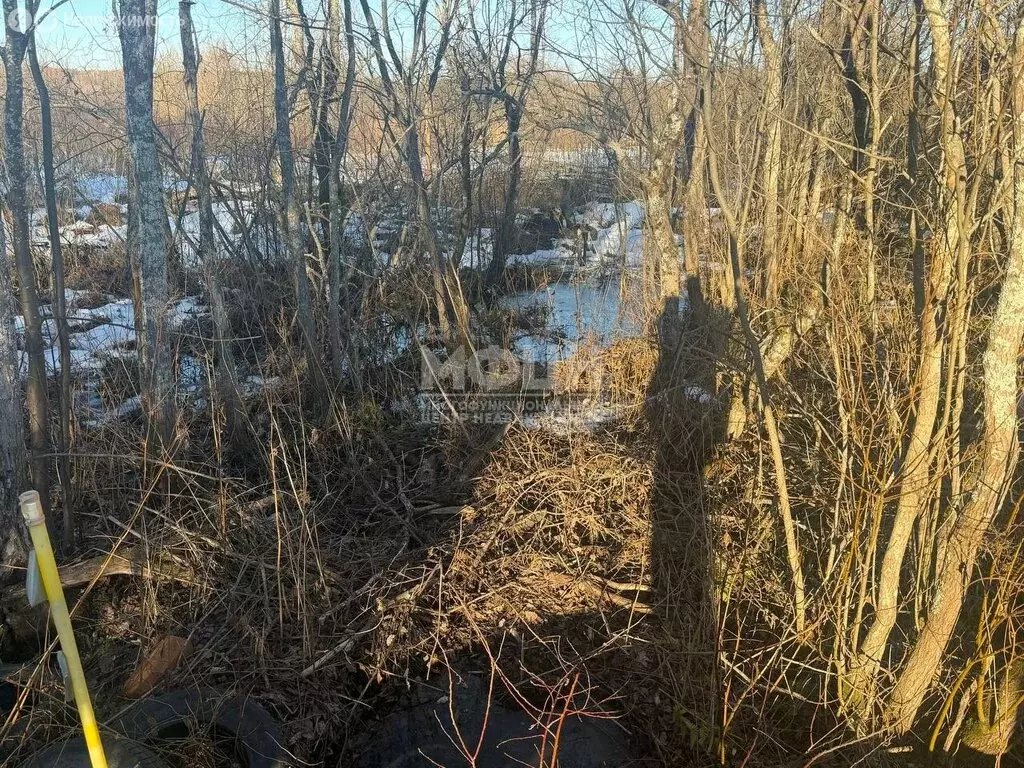 Участок в Кондопожский район, Янишпольское сельское поселение, село ... - Фото 2