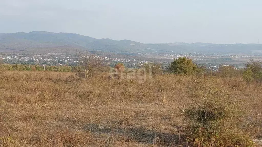 Участок в Краснодарский край, Новороссийск городской округ, ... - Фото 1