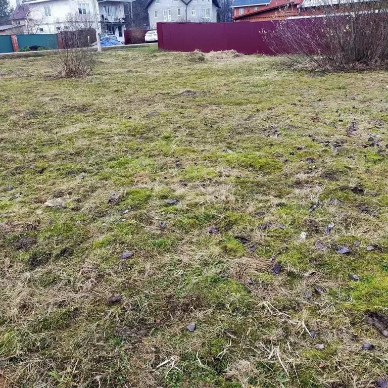 Участок в Московская область, Подольск городской округ, д. Бережки ул. ... - Фото 2