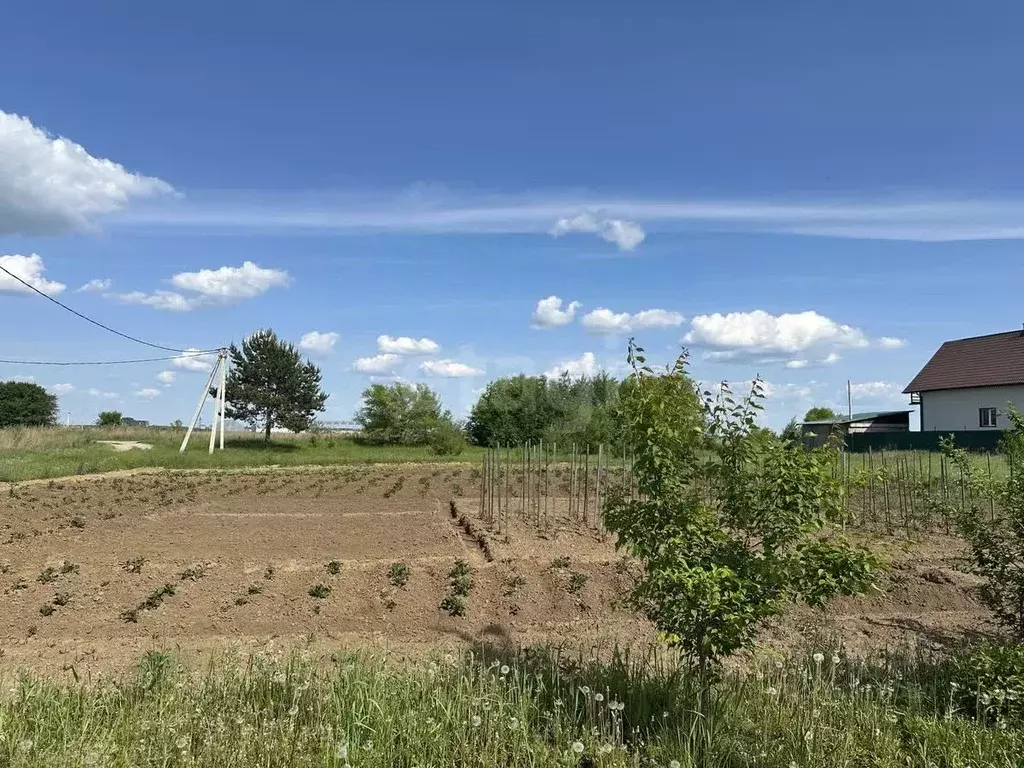 Участок в Амурская область, Благовещенский район, пос. Заречный  (10.0 ... - Фото 1