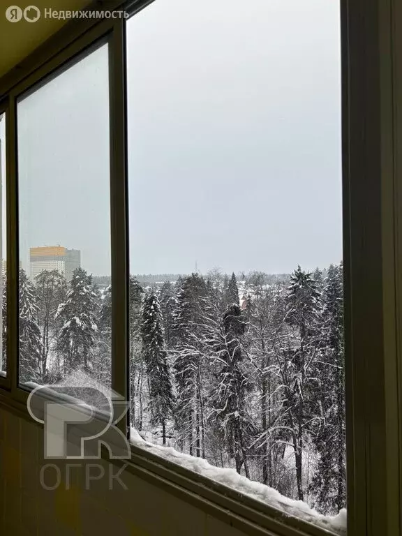 3-комнатная квартира: посёлок городского типа Голубое, Родниковая ... - Фото 1