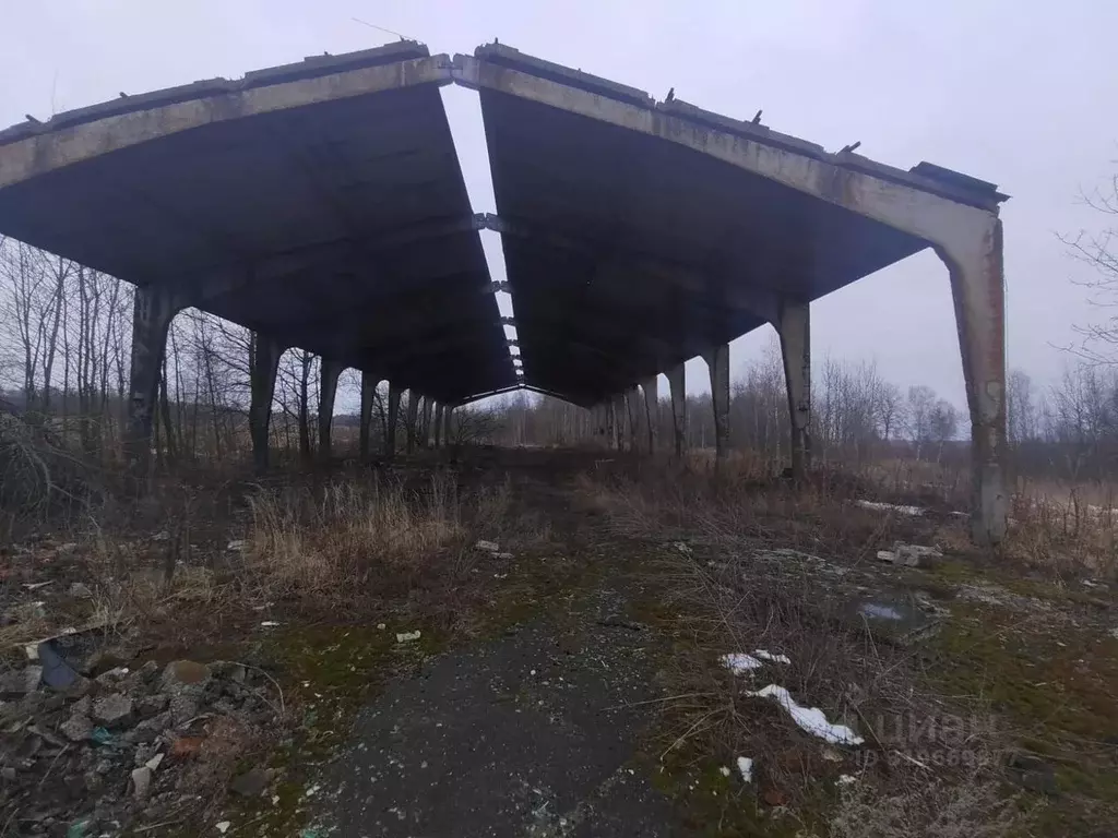 Помещение свободного назначения в Московская область, Коломна ... - Фото 1