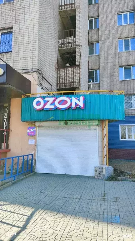 Торговая площадь в Забайкальский край, Чита просп. Фадеева, 5 (60 м) - Фото 2