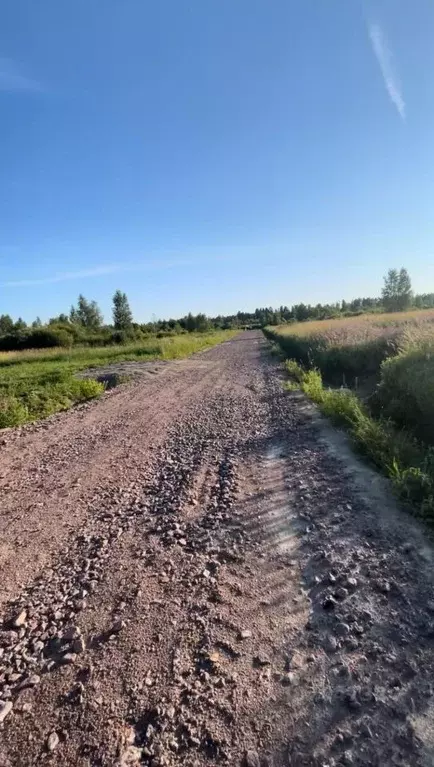 Участок в Ленинградская область, Всеволожск ул. Анатолия Молчанова ... - Фото 1