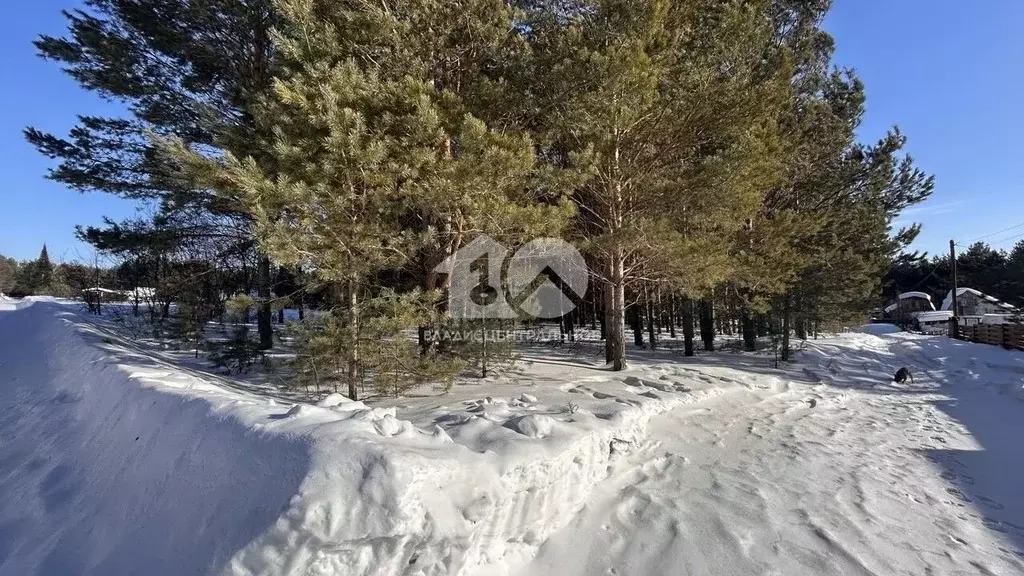 Участок в Новосибирская область, Мошковский район, Сосновское СНТ  ... - Фото 2