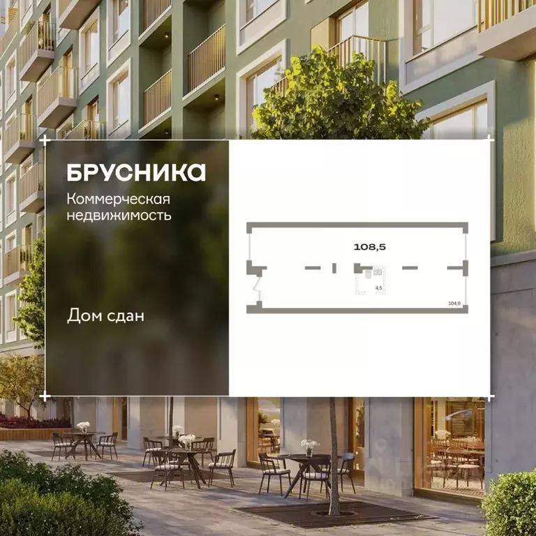 Помещение свободного назначения в Новосибирская область, Новосибирск ... - Фото 1
