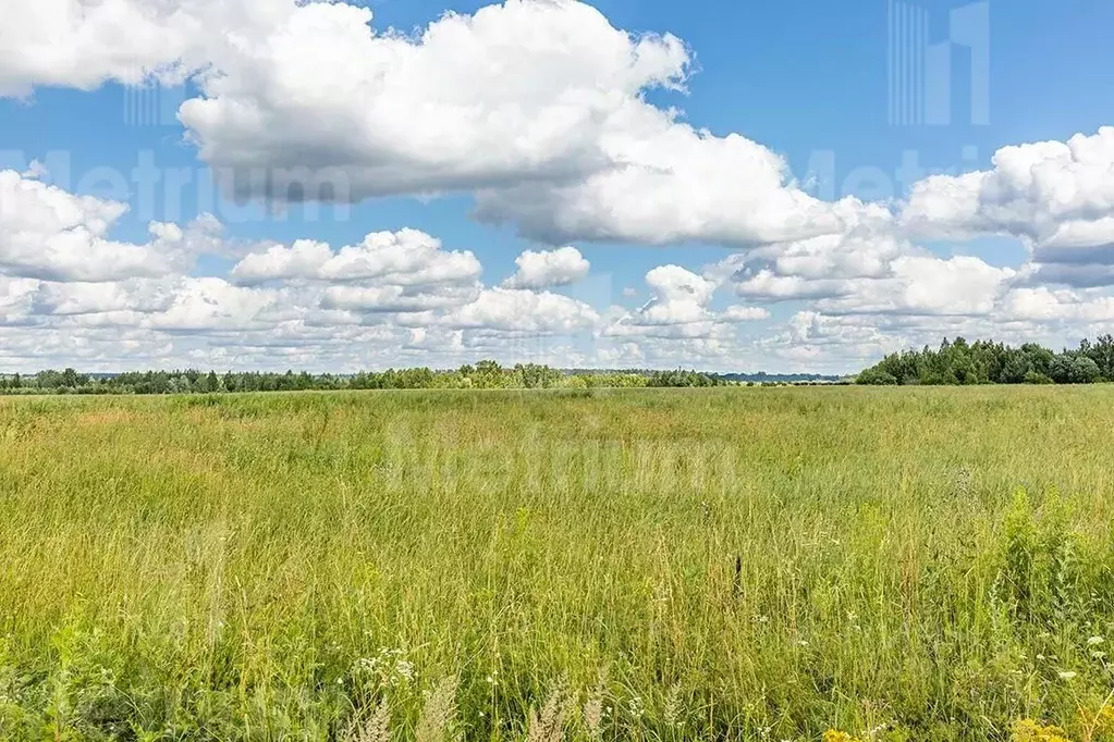 Участок в Московская область, Можайский городской округ, Лесные ... - Фото 1