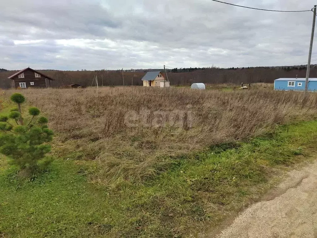 Участок в Вологодская область, Череповецкий район, Югское ... - Фото 1