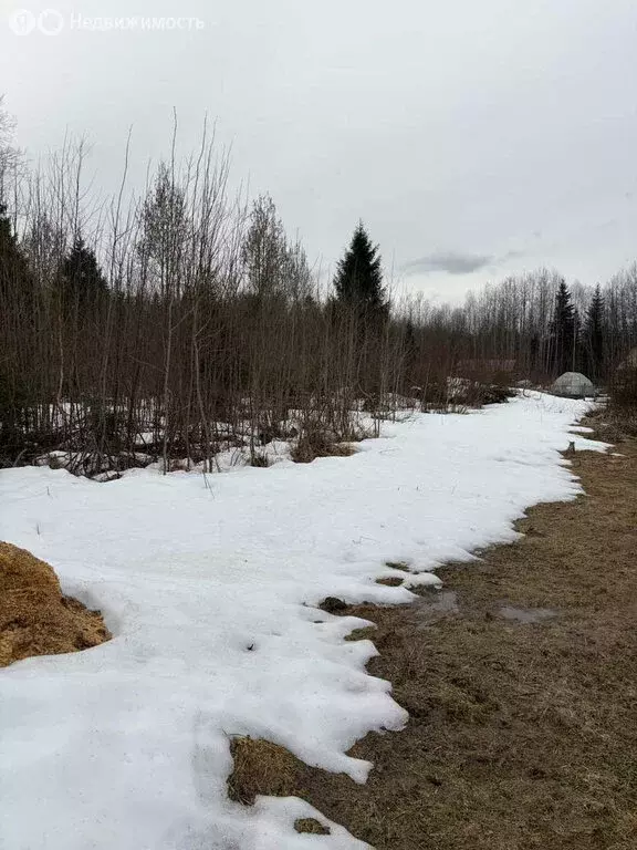 Участок в Вологодский муниципальный округ, посёлок Можайское (16 м) - Фото 1