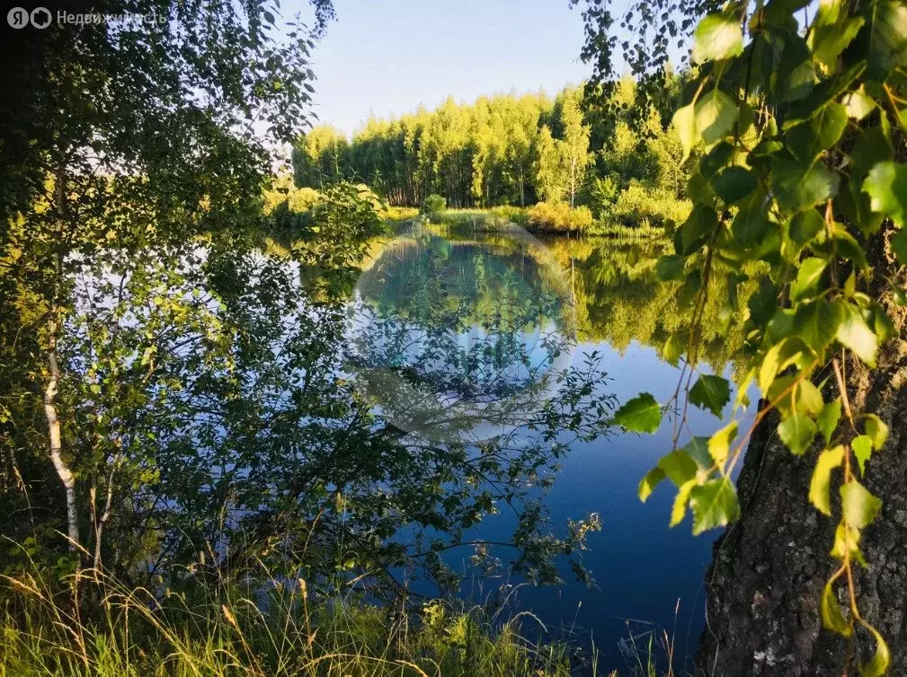 Участок в Московская область, городской округ Кашира, деревня ... - Фото 0