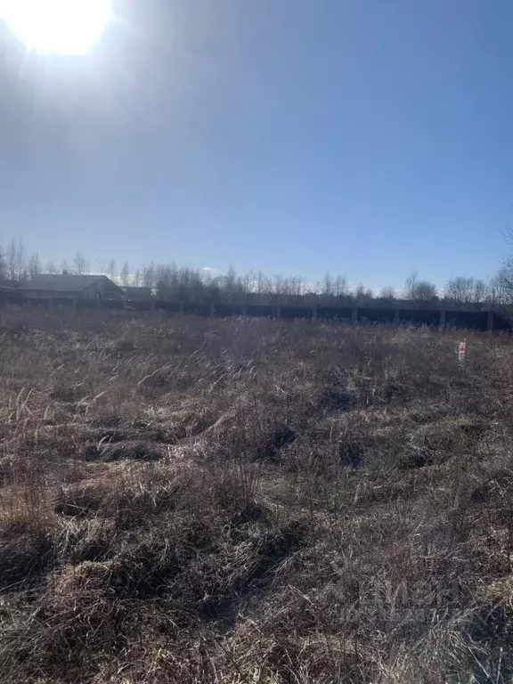Участок в Владимирская область, Суздальский район, Павловское ... - Фото 0