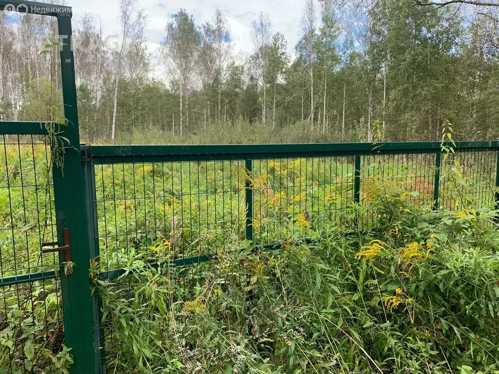 участок в плотниковский сельсовет, садовое товарищество боровушка (24 . - Фото 0