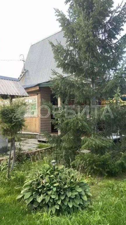 Дом в Тюменская область, Тюмень Изобилие СНТ, ул. Центральная (55 м) - Фото 0