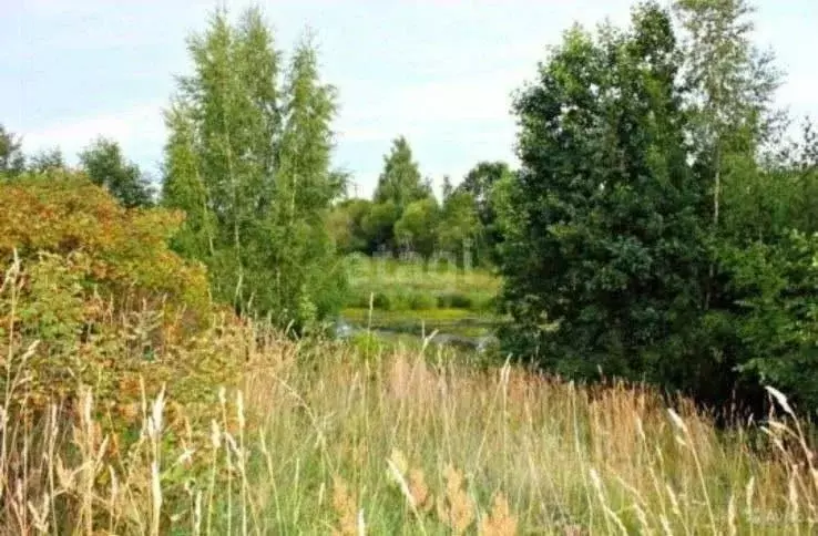Участок в Псковская область, Печорский муниципальный округ, д. Моложва ... - Фото 1