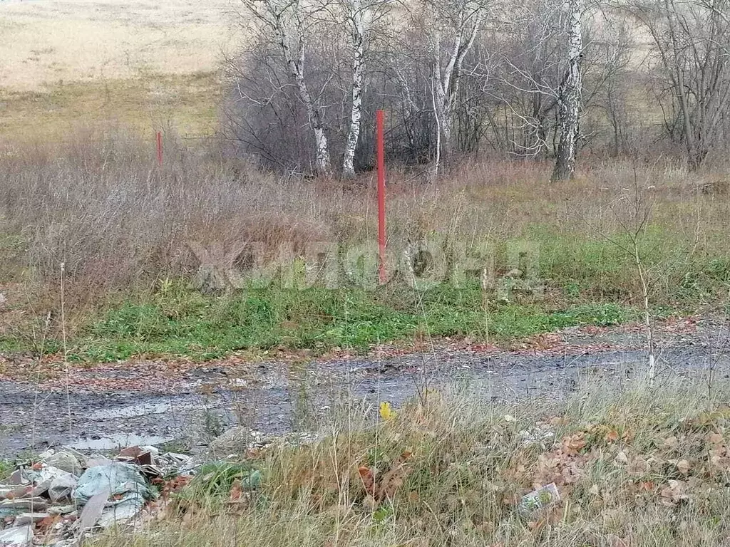 Участок в Новосибирская область, Бердск ул. Гранитная (10.0 сот.) - Фото 1