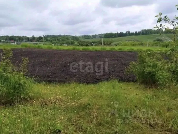 Участок в Белгородская область, Белгородский район, Ериковское с/пос, ... - Фото 1