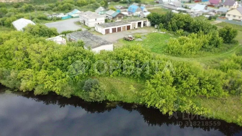 Участок в Тюменская область, с. Омутинское ул. Заречная, 38А (5735.0 ... - Фото 1