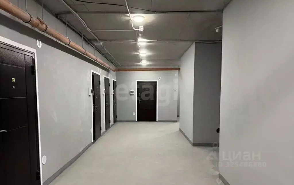 Помещение свободного назначения в Краснодарский край, Геленджик ул. ... - Фото 2