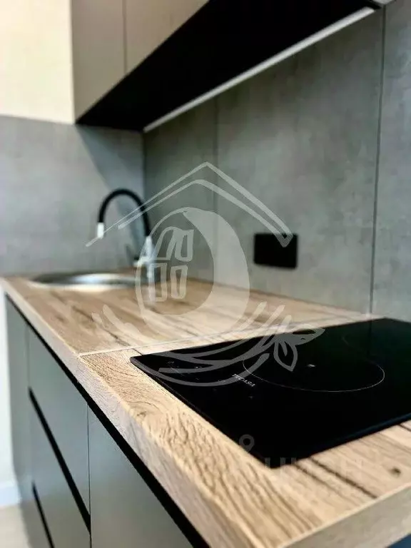 Студия Алтайский край, Барнаул ул. Никитина, 10 (24.5 м) - Фото 1