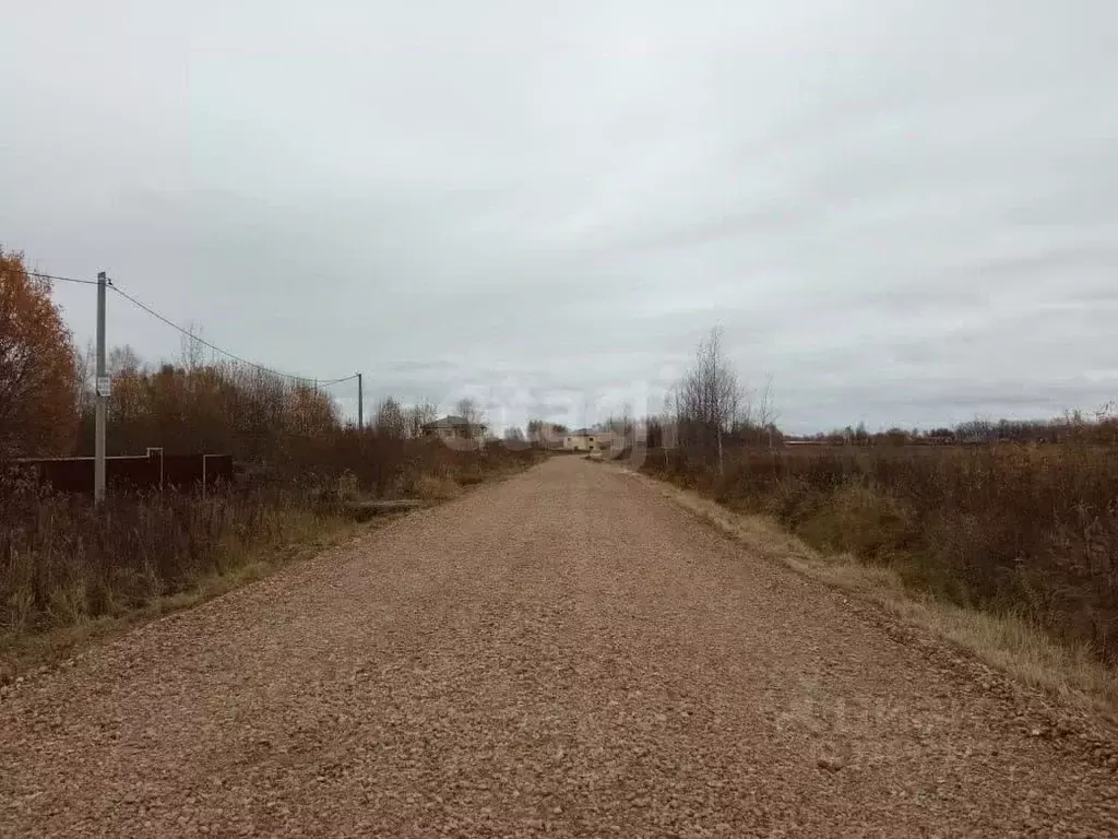 Участок в Ярославская область, Ярославский муниципальный округ, Новые ... - Фото 2