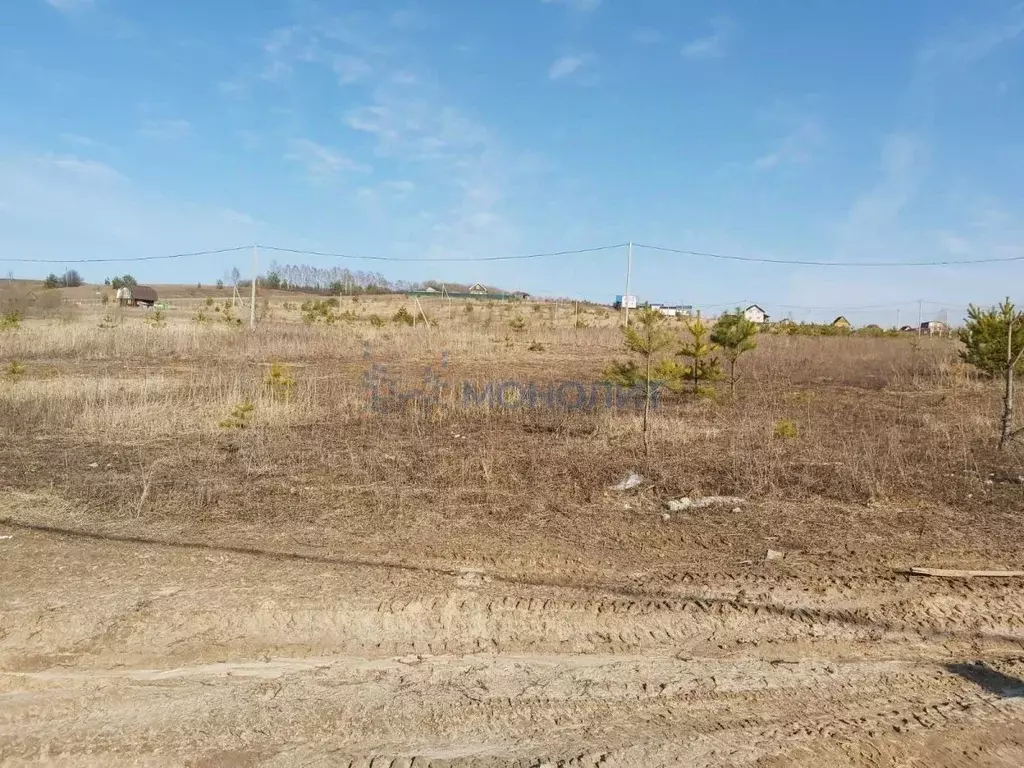 Участок в Нижегородская область, Богородский муниципальный округ, д. ... - Фото 1