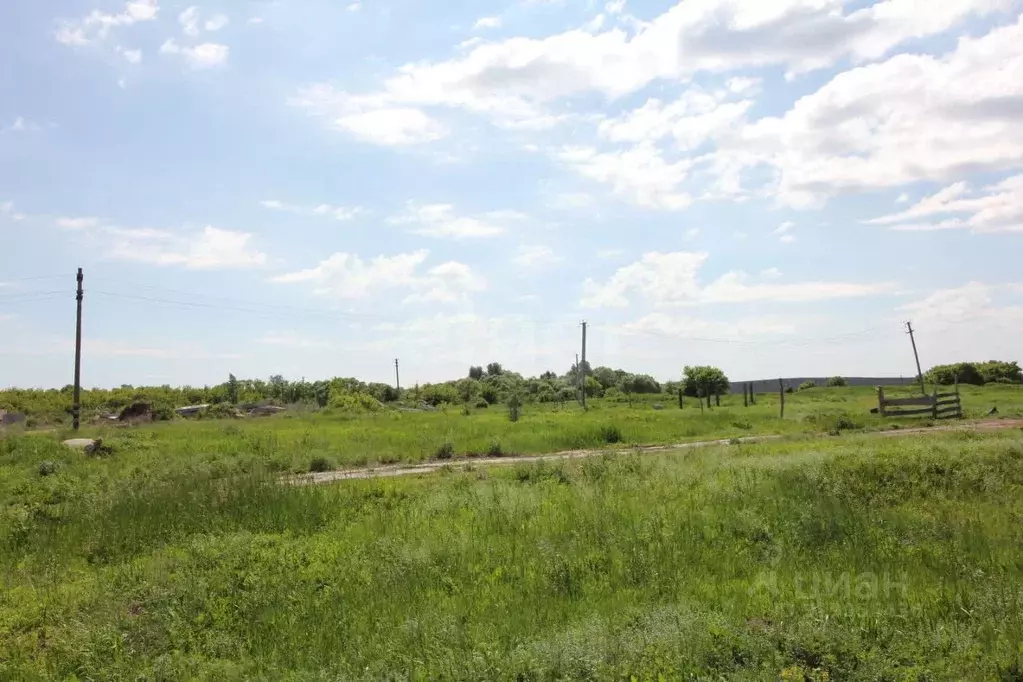 Участок в Саратовская область, Балашовский район, Большемеликское ... - Фото 1