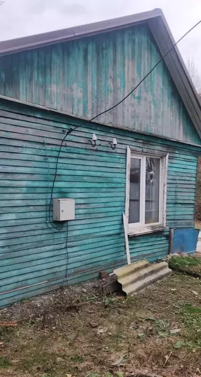 Дом в Еврейская автономная область, Смидовичский район, с. Даниловка ... - Фото 2