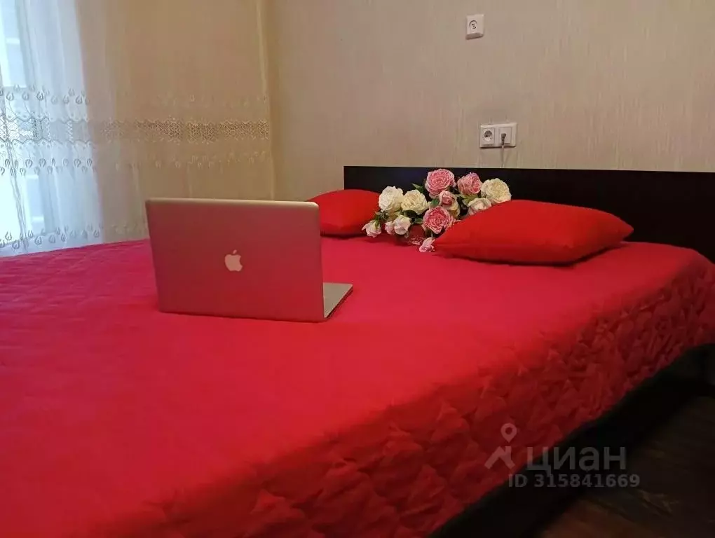 1-к кв. Санкт-Петербург Пулковское ш., 14с6 (28.0 м) - Фото 1