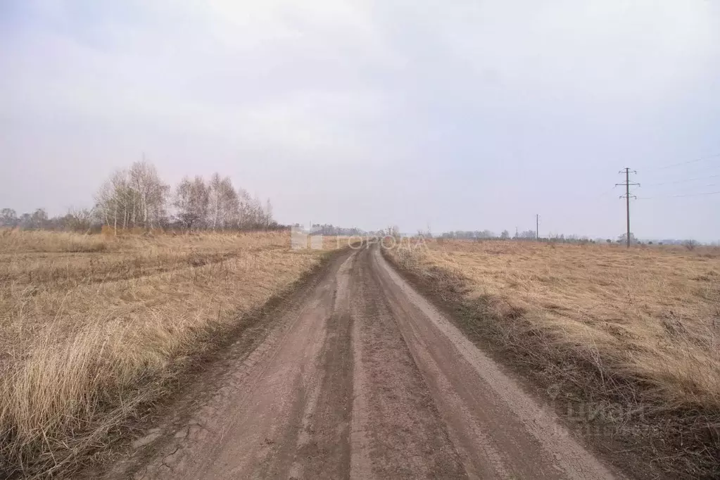 Участок в Алтайский край, Барнаул городской округ, пос. Центральный  ... - Фото 1