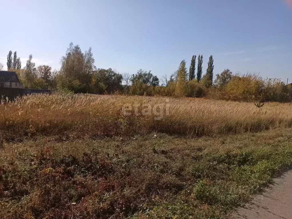 Участок в Воронежская область, Верхнехавский район, с. Малая ... - Фото 0