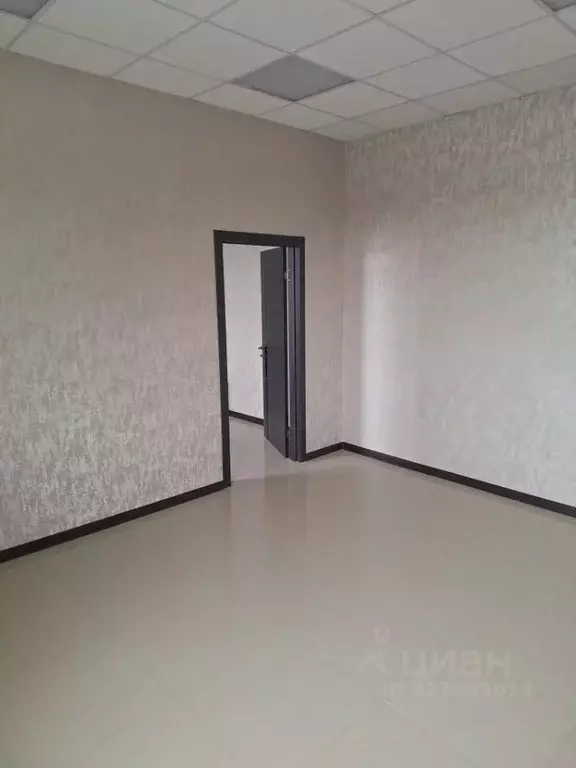 Помещение свободного назначения в Оренбургская область, Оренбург ул. ... - Фото 1