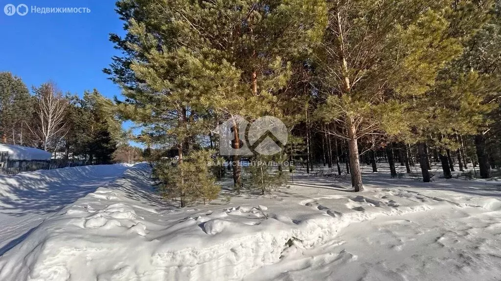 Участок в Мошковский район, садоводческое некоммерческое товарищество ... - Фото 1