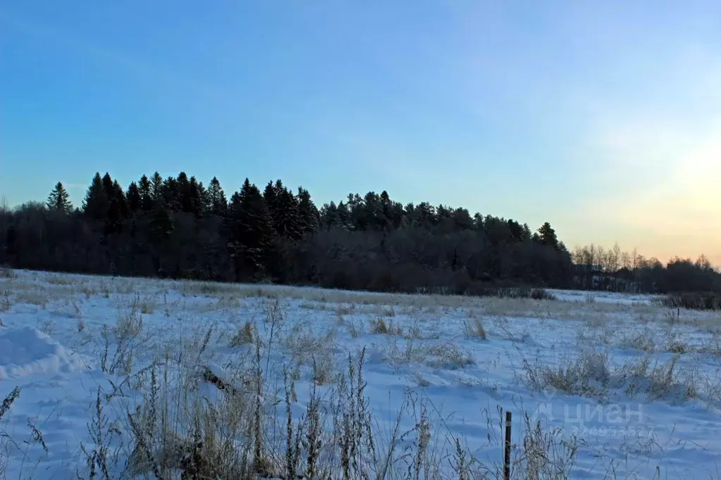 Участок в Карелия, Сортавальский муниципальный округ, пос. Заозерный  ... - Фото 2