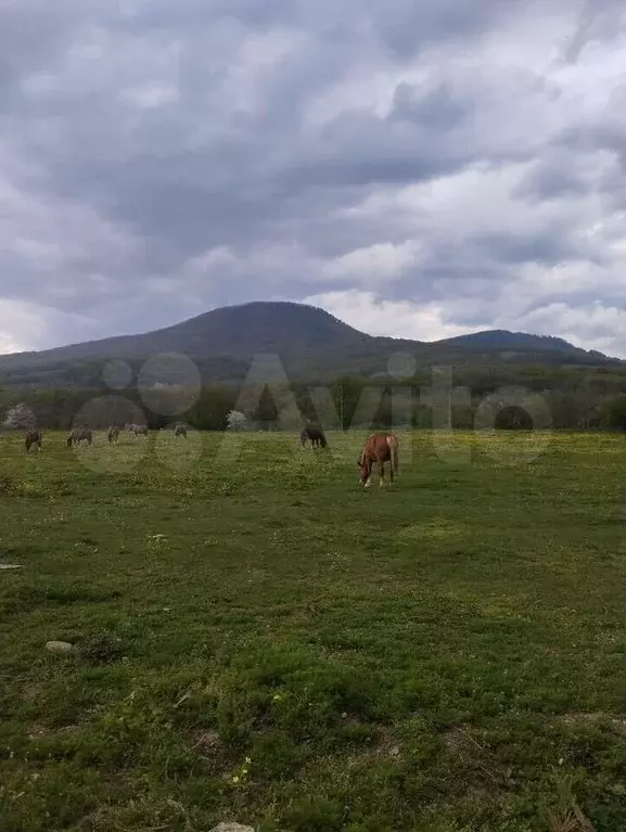 Участок 5,8 сот. (ИЖС) - Фото 1