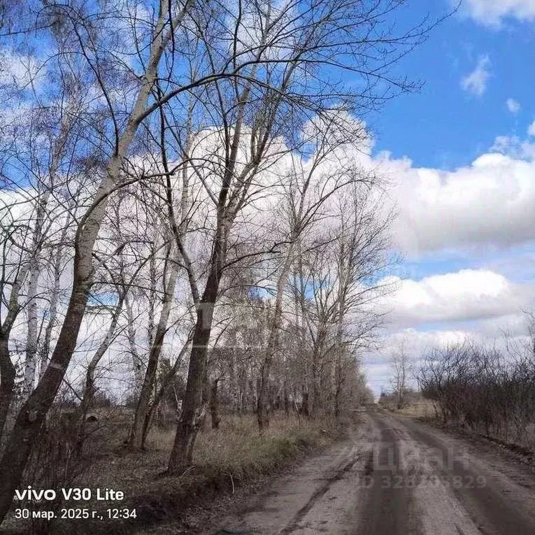 Участок в Воронежская область, Воронеж Ягодка СНТ, ул. Молодежная (6.0 ... - Фото 1