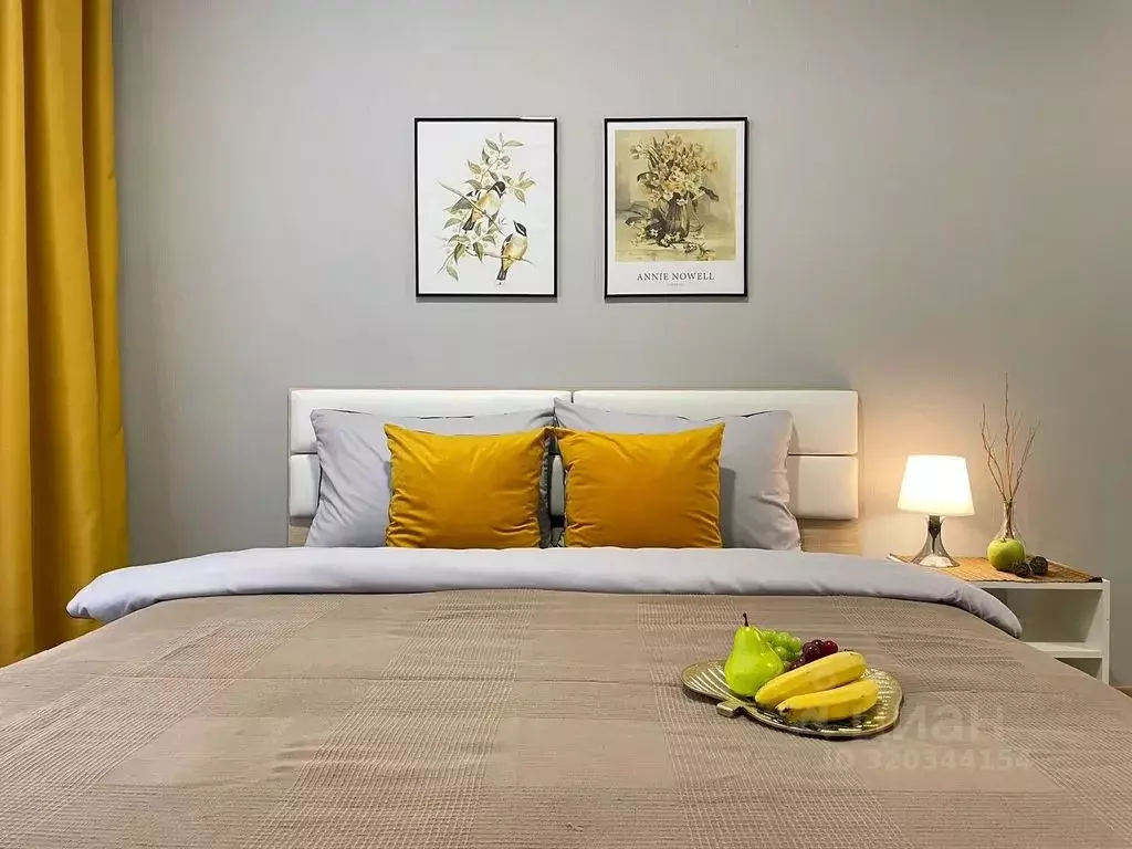 Комната Санкт-Петербург пос. Парголово, проезд Толубеевский, 8к2 - Фото 0