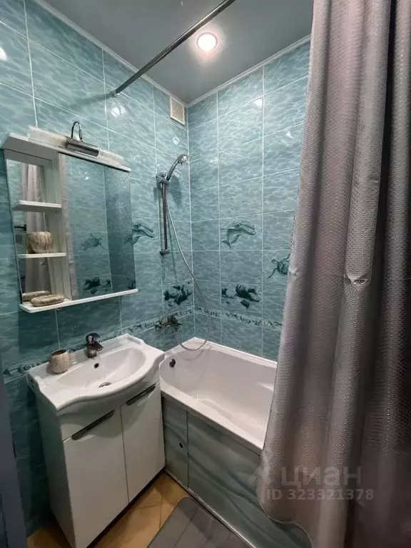 1-к кв. Московская область, Домодедово городской округ, д. Гальчино ... - Фото 2