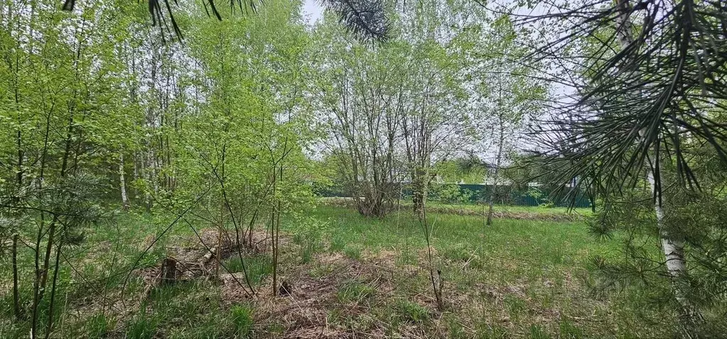 Участок в Московская область, Серпухов городской округ, Берег СНТ  ... - Фото 2