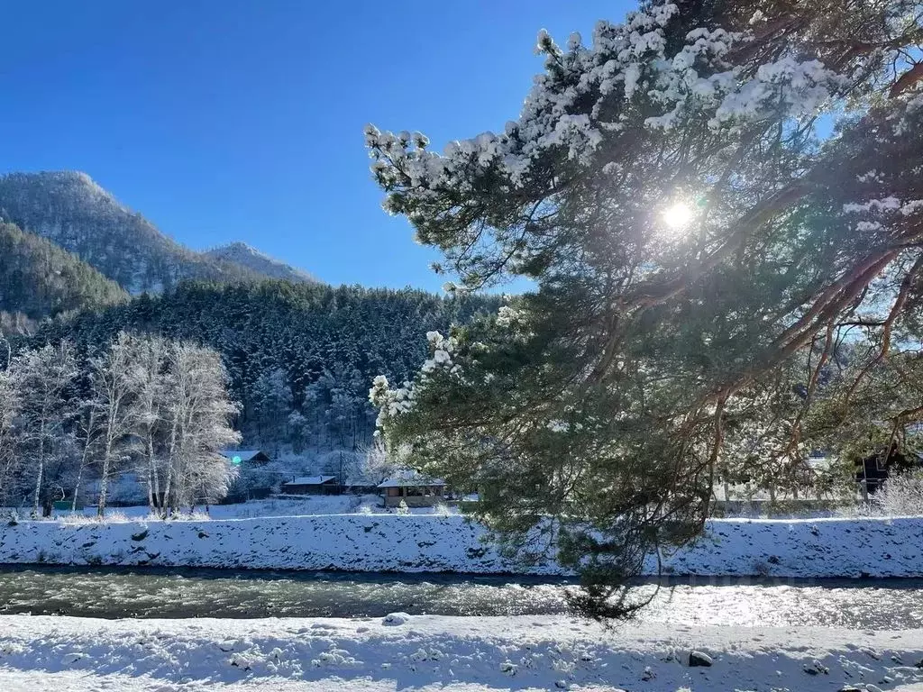 Дом в Алтай, Чемальский район, с. Чемал Уожанская ул., 56 (50 м) - Фото 0