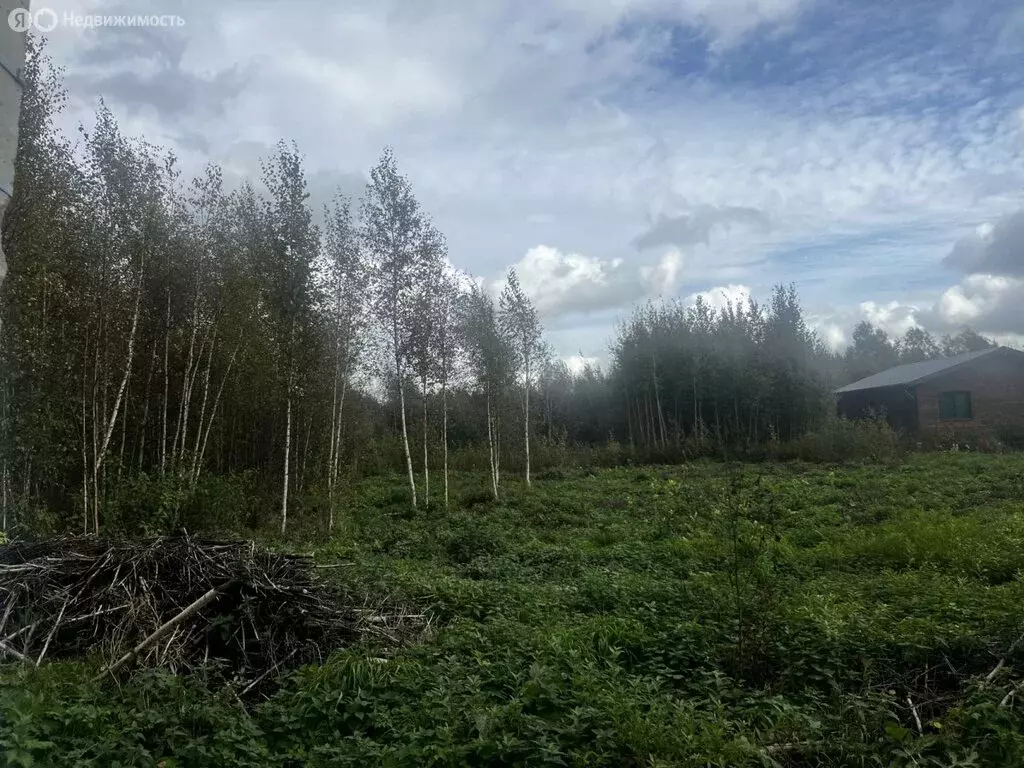 Участок в Ропшинское сельское поселение, садоводческий массив Новая ... - Фото 1