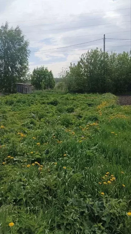 Участок в Свердловская область, Сысертский муниципальный округ, ... - Фото 1