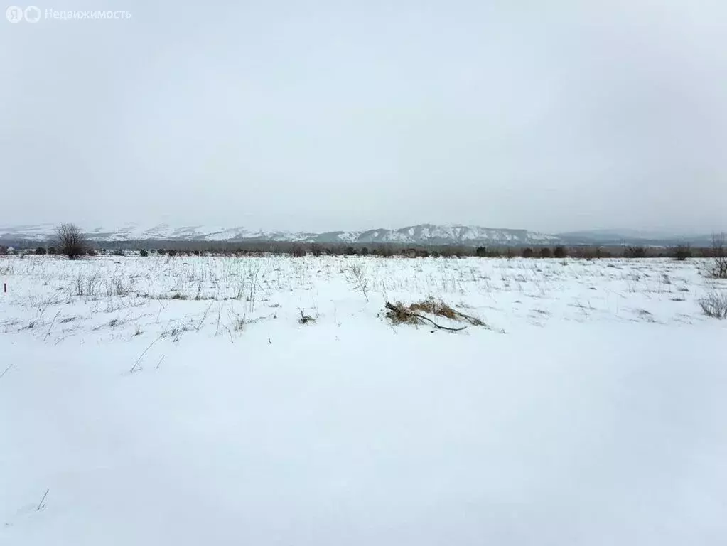 Участок в Айский сельсовет, территория Черемшанка (10 м) - Фото 1