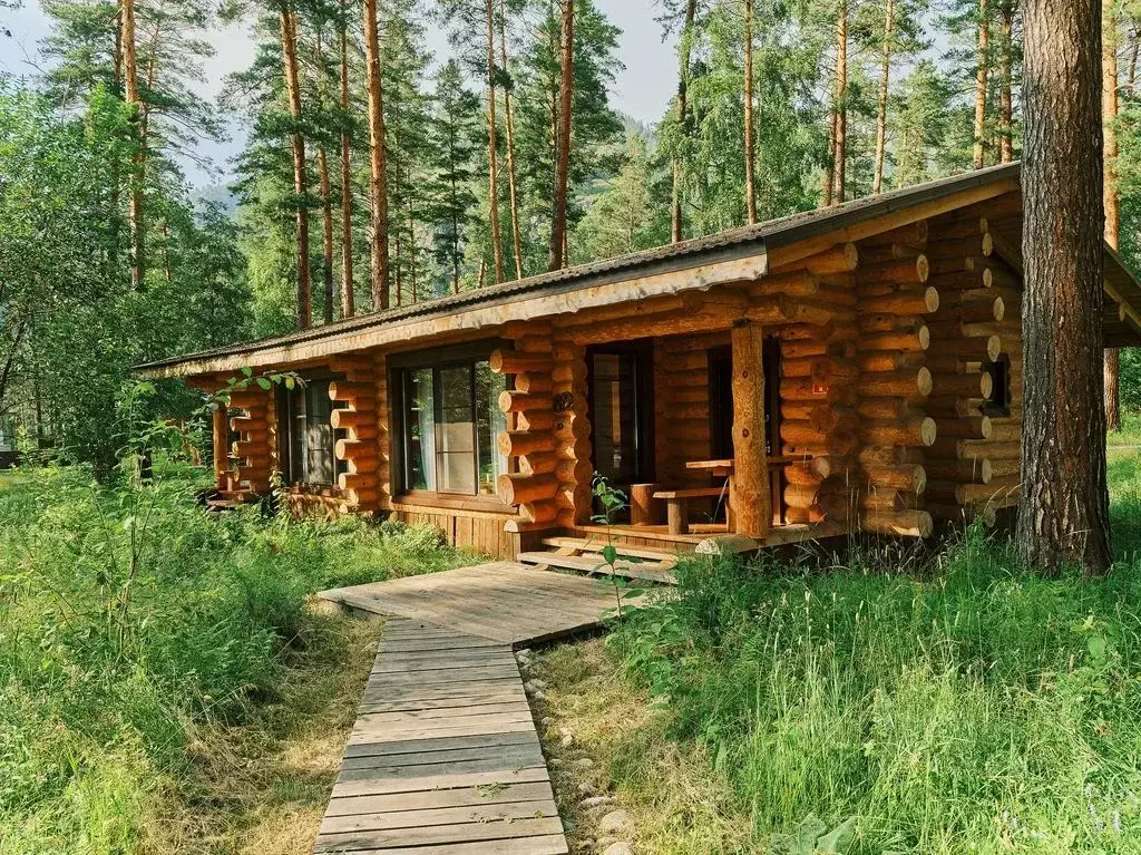 Дом в Алтай, Чемальский район, Чепошское с/пос, Altay Sence тер.  (55 ... - Фото 2